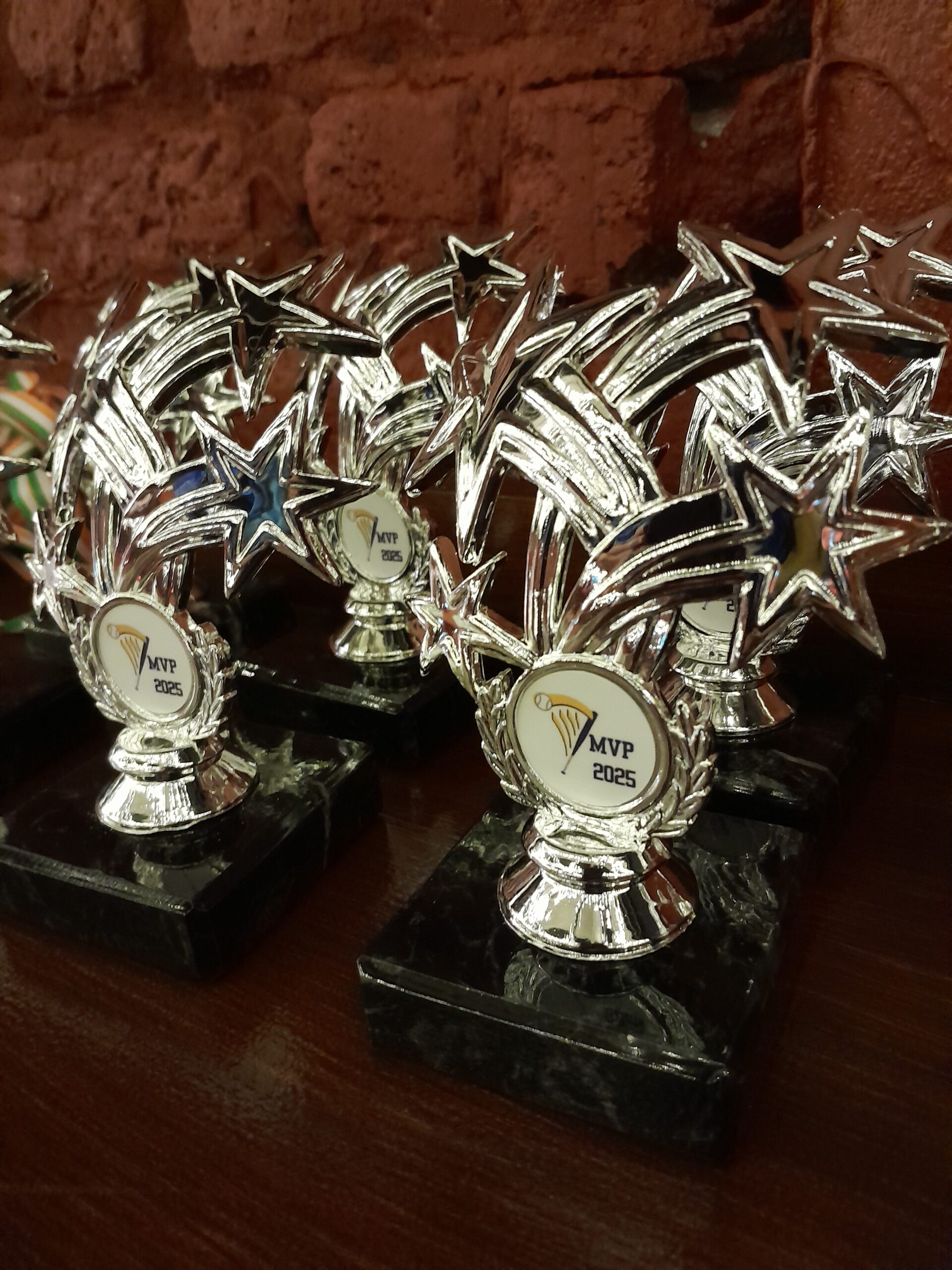 trophies lined up in two rows